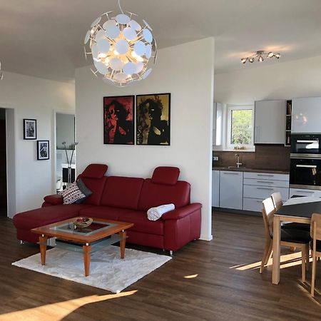 A&N Prestige Apartments "Attika" Close To Basel And Rhine River Grenzach-Wyhlen Eksteriør bilde